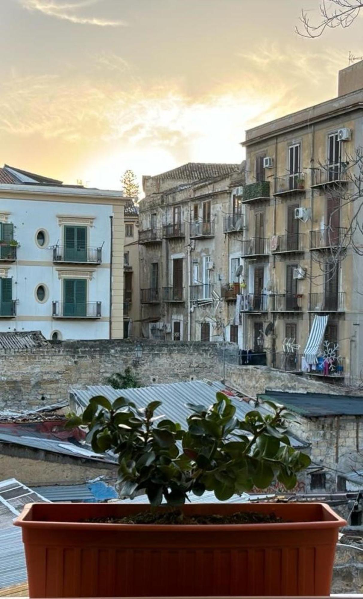 Shallah Apartment Nel Cuore Del Centro Storico Di פלרמו מראה חיצוני תמונה